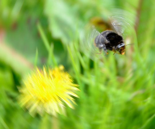 Take Off!