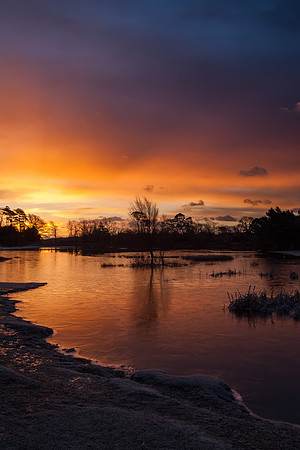 Winter Shore