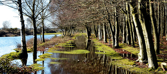 Reflection Avenue