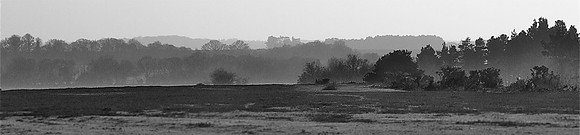 Heathland Horizon