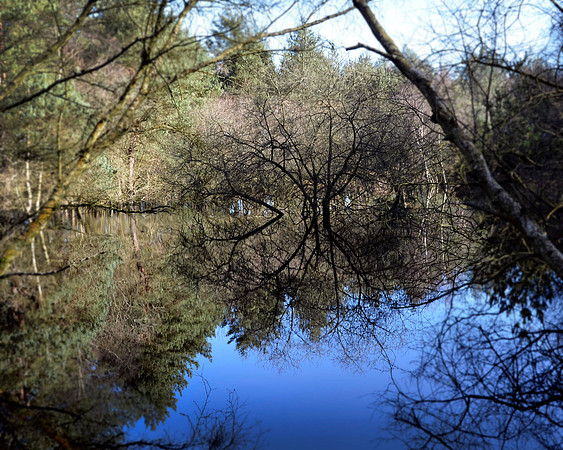 Flooded Hollow