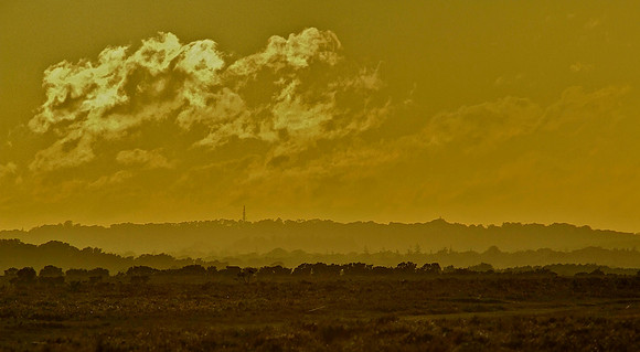 Russet Heath