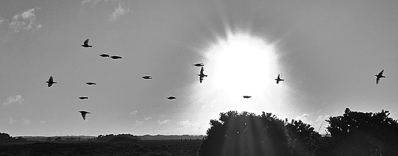 Sundown Flight